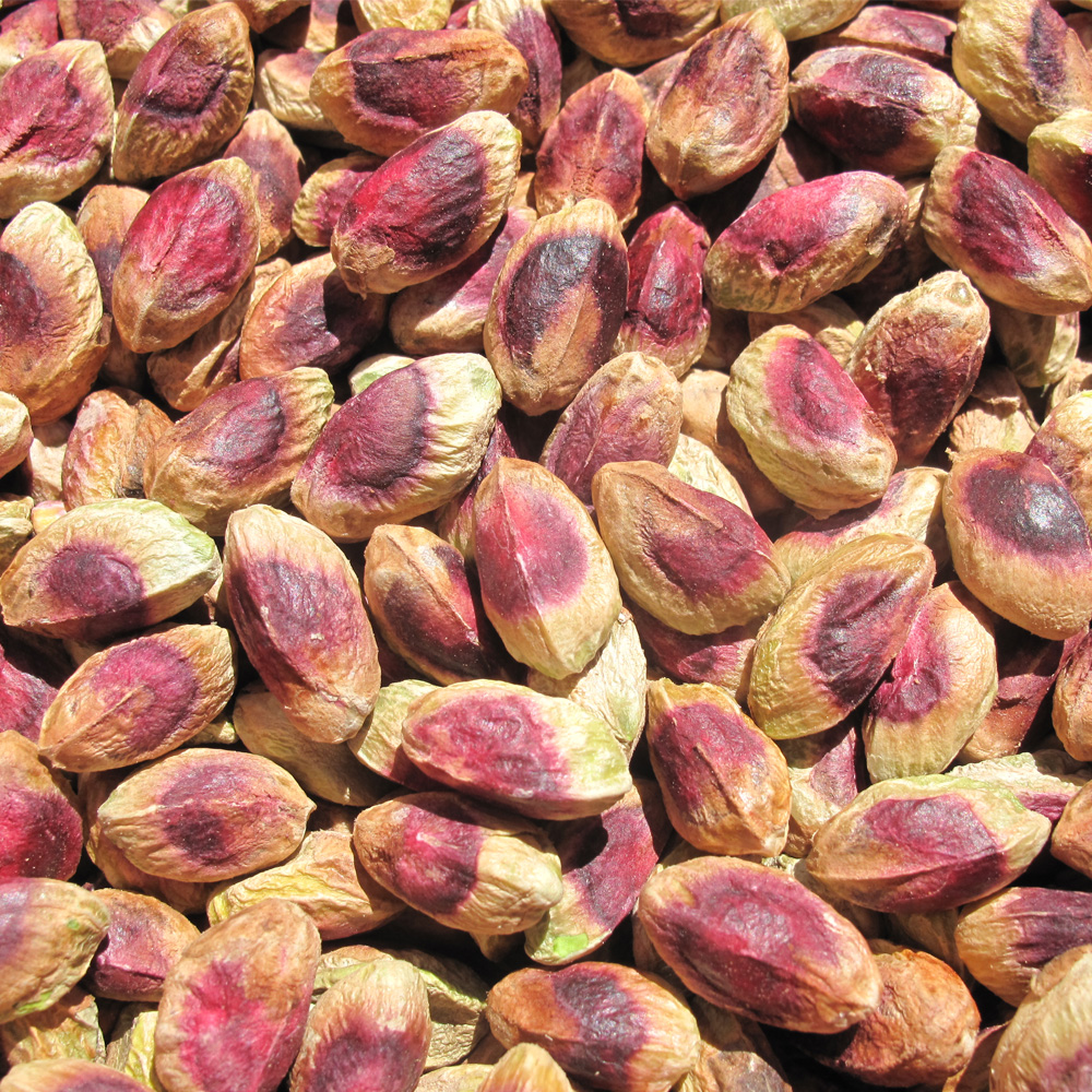 kernel pistachio sirjan iran mehr company kernel pistachio sirjan iran mehr company